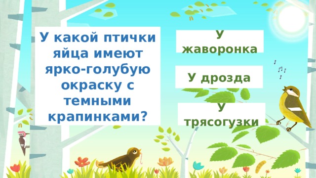 У какой птички яйца имеют ярко-голубую окраску с темными крапинками? У жаворонка У дрозда У трясогузки 