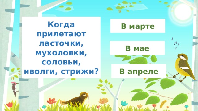 Когда прилетают ласточки, мухоловки, соловьи, иволги, стрижи? В марте В мае В апреле 