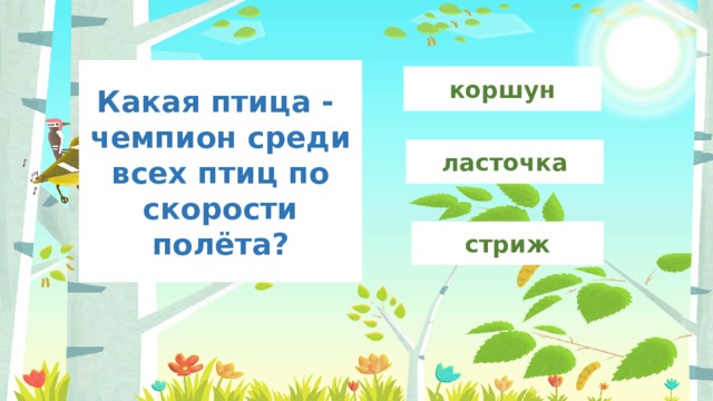 Какая птица - чемпион среди всех птиц по скорости полёта? коршун ласточка стриж 