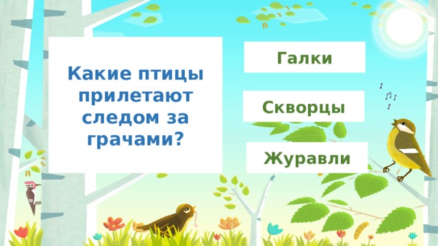 Какие птицы прилетают следом за грачами? Галки Скворцы Журавли 