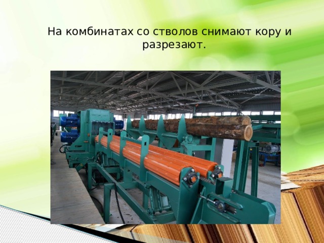 На комбинатах со стволов снимают кору и разрезают. 
