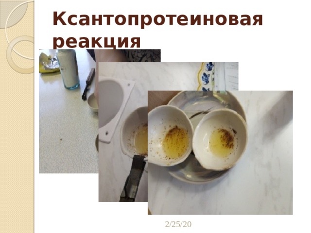 Ксантопротеиновая реакция 2/25/20 