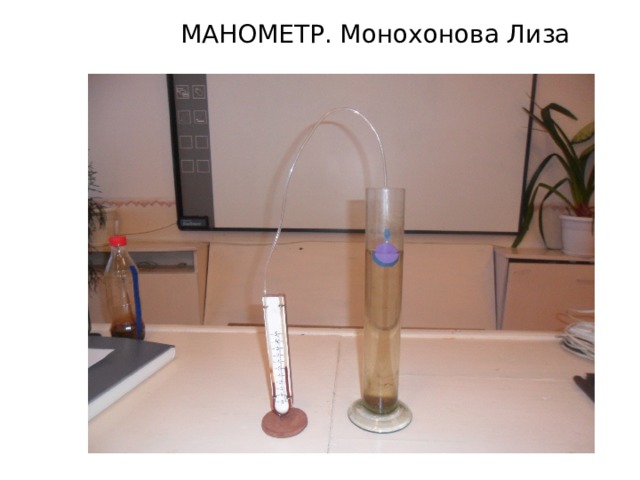 МАНОМЕТР. Монохонова Лиза 