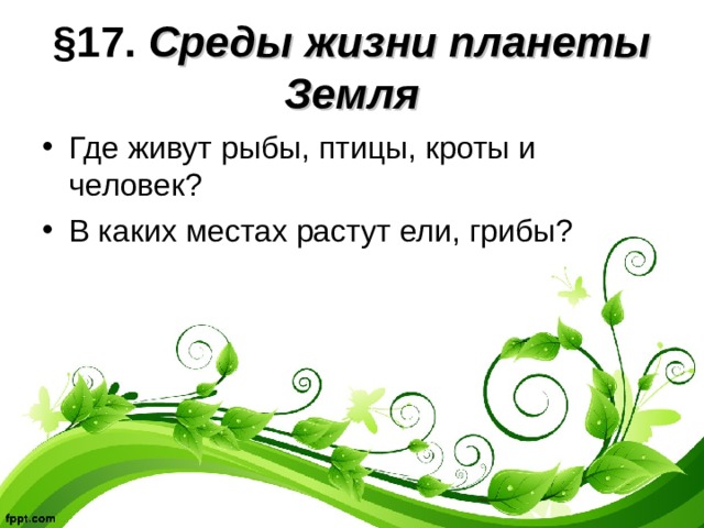 §17. Среды жизни планеты Земля Где живут рыбы, птицы, кроты и человек? В каких местах растут ели, грибы? 