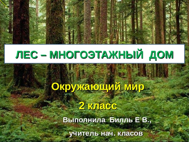 ЛЕС – МНОГОЭТАЖНЫЙ ДОМ Окружающий мир 2 класс Выполнила Билль Е В.,  учитель нач. класов   