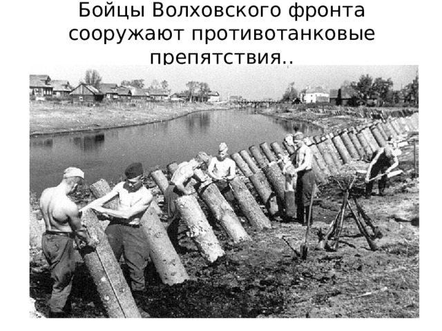  Бойцы Волховского фронта сооружают противотанковые препятствия..   