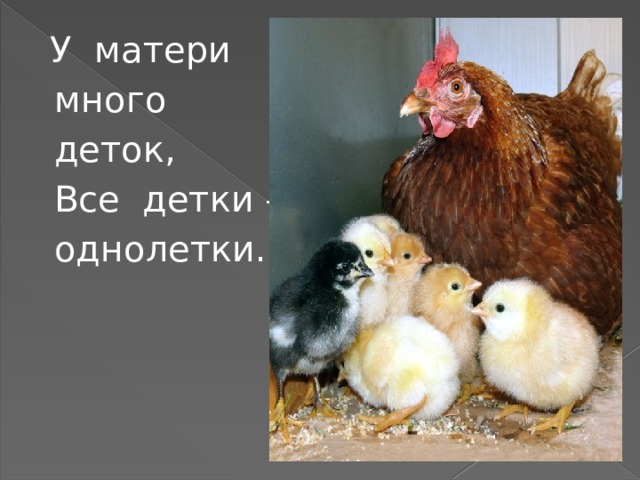  У матери  много  деток,  Все детки –  однолетки. 