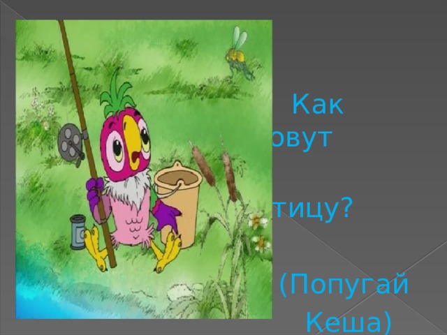  Как зовут  птицу?  (Попугай  Кеша) 