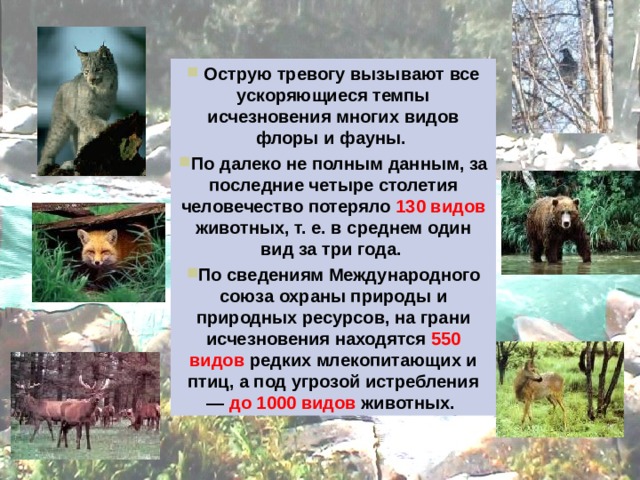   Острую тревогу вызывают все ускоряющиеся темпы исчезновения многих видов флоры и фауны. По далеко не полным данным, за последние четыре столетия человечество потеряло 130 видов животных, т. е. в среднем один вид за три года. По сведениям Международного союза охраны природы и природных ресурсов, на грани исчезновения находятся 550 видов редких млекопитающих и птиц, а под угрозой истребления — до 1000 видов животных. 