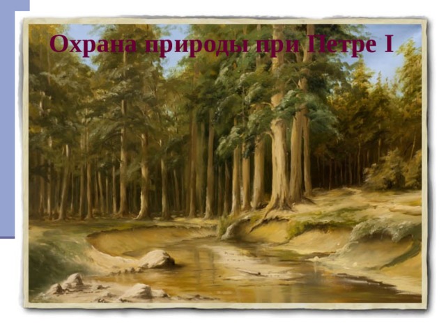 Охрана природы при Петре I          Петр I думал не только об охране лесов, но и об их насаждении. Немало деревьев он поса дил лично, а по его почину был посажен Шипов лес в Воронежской области. Лесной «знатель» Фокель посадил под Петербургом корабельную рощу (около с. Линдула), которая до сего времени привлекает внимание посетителей огромными деревьями лиственницы, тщательно пронумерованными и охраняемыми по сие время. 