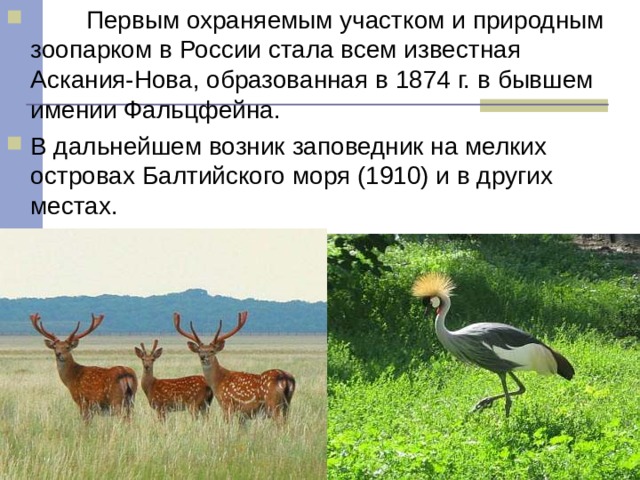          Первым охраняемым участком и природным зоопарком в России стала всем известная Аскания-Нова, образованная в 1874 г. в бывшем имении Фальцфейна. В дальнейшем возник заповедник на мелких островах Балтийского моря (1910) и в других местах. 