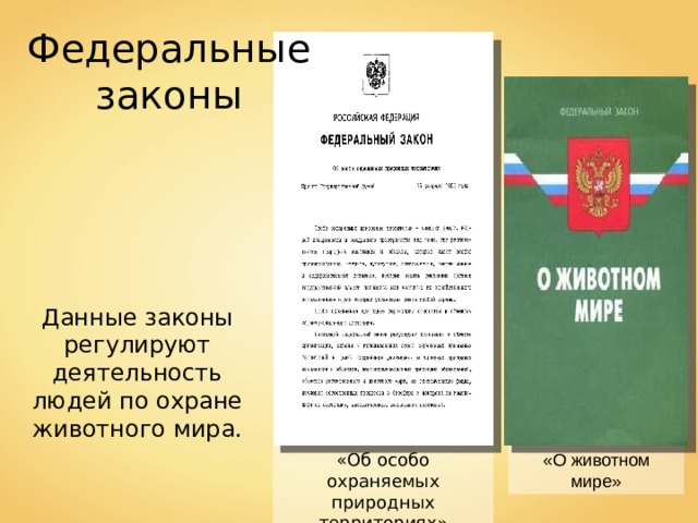 Федеральные законы Данные законы регулируют деятельность людей по охране животного мира. «Об особо охраняемых природных территориях» «О животном мире» 