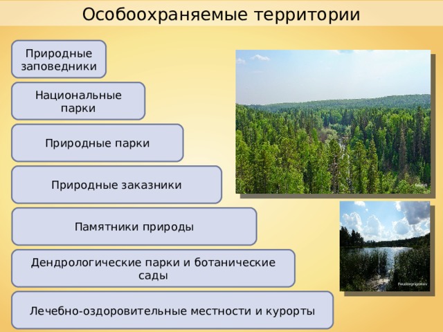 Особоохраняемые территории Природные заповедники Национальные парки Природные парки Природные заказники Lacrus Памятники природы Дендрологические парки и ботанические сады Feudorgrigoriev Лечебно-оздоровительные местности и курорты 