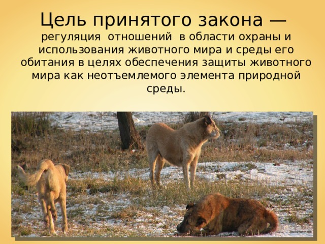 Цель принятого закона — регуляция отношений в области охраны и использования животного мира и среды его обитания в целях обеспечения защиты животного мира как неотъемлемого элемента природной среды. AlexisMartin mb 
