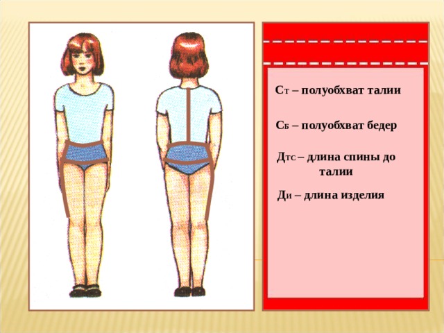 С Т – полуобхват талии С Б – полуобхват бедер Д ТС – длина спины до талии Д И – длина изделия 