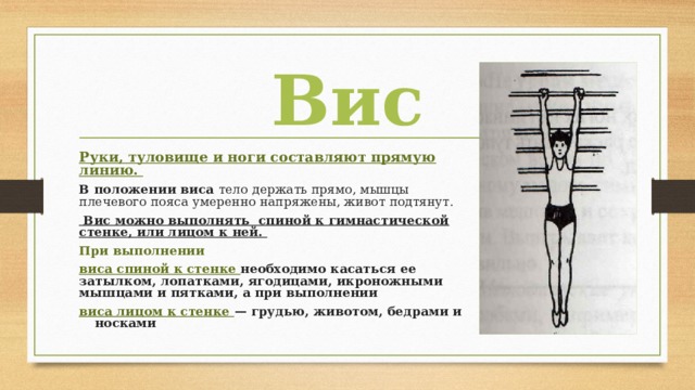 Вис Руки, туловище и ноги составляют прямую линию. В положении виса тело держать прямо, мышцы плечевого пояса умеренно напряжены, живот подтянут.  Вис можно выполнять спиной к гимнастической стенке, или лицом к ней. При выполнении виса спиной к стенке необходимо касаться ее затылком, лопатками, ягодицами, икроножными мышцами и пятками, а при выполнении виса лицом к стенке — грудью, животом, бедрами и носками 