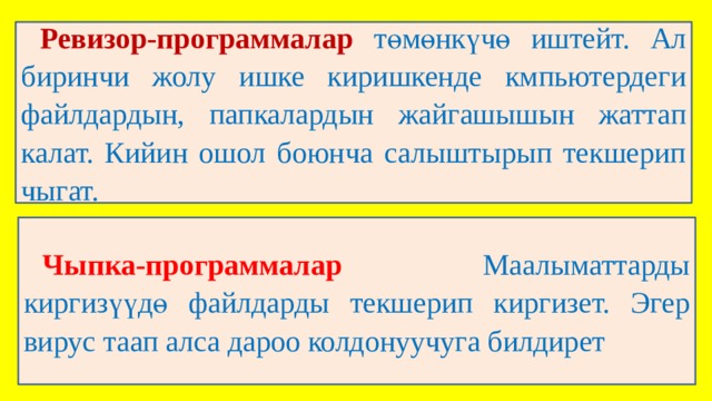 Ревизор-программалар  төмөнкүчө иштейт. Ал биринчи жолу ишке киришкенде кмпьютердеги файлдардын, папкалардын жайгашышын жаттап калат. Кийин ошол боюнча салыштырып текшерип чыгат. Чыпка-программалар  Маалыматтарды киргизүүдө файлдарды текшерип киргизет. Эгер вирус таап алса дароо колдонуучуга билдирет 