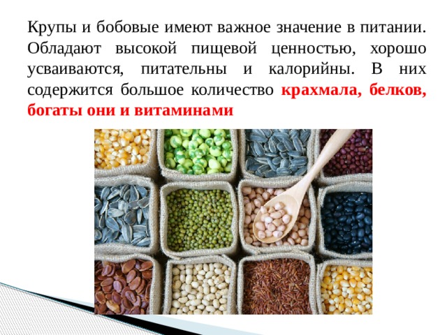 Крупы и бобовые имеют важное значение в питании. Обладают высокой пищевой ценностью, хорошо усваиваются, питательны и калорийны. В них содержится большое количество крахмала, белков, богаты они и витаминами 