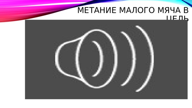 Метание малого мяча в цель 