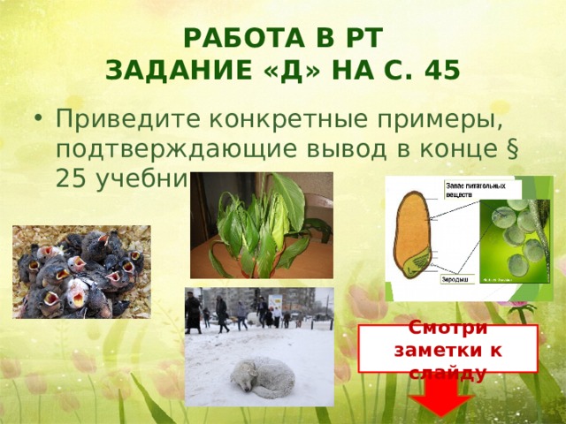 Работа в РТ  Задание «Д» на с. 45 Приведите конкретные примеры, подтверждающие вывод в конце § 25 учебника - яйцеклетка любого организма содержит запас питательных веществ, иначе зародыш погибнет - если маленького птенчика не кормить, то он погибнет - взрослый живой организм также погибнет без пищи - если растение убрать в тень, то оно рано или поздно погибнет без солнечной энергии - животные поедая растительную или животную пищу получает органические вещества, а вместе с ними заключенную в них энергию Солнца Смотри заметки к слайду  