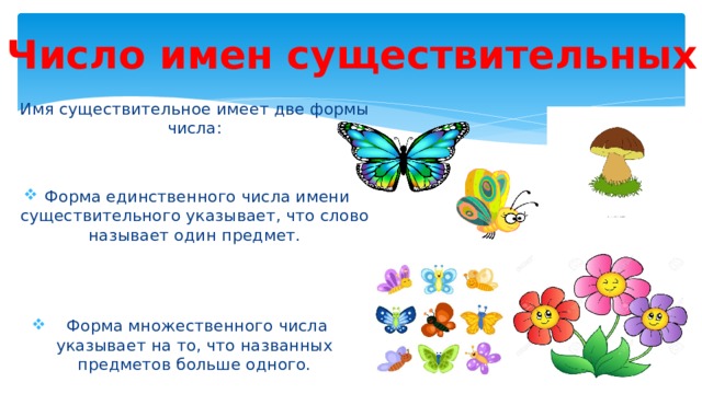 Число имен существительных Имя существительное имеет две формы числа: Форма единственного числа имени существительного указывает, что слово называет один предмет. Форма множественного числа указывает на то, что названных предметов больше одного. 