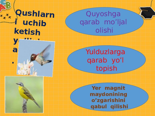Qushlarni uchib ketish yo’lini aniqlash . Quyoshga qarab mo’ljal olishi Yulduzlarga qarab yo’l topish Yer magnit maydonining o’zgarishini qabul qilishi 