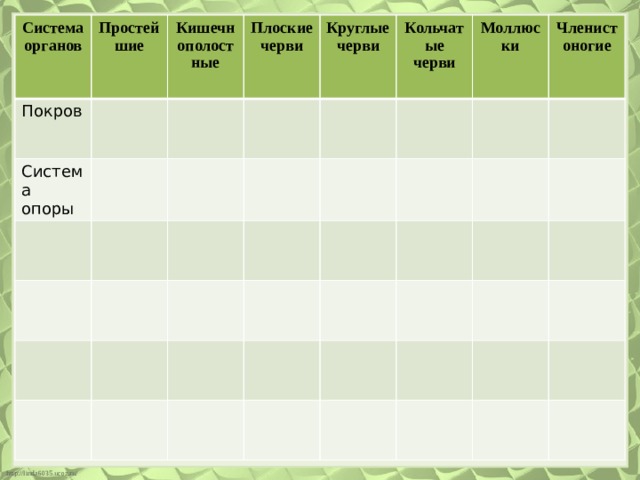 Система органов Простейшие Покров Система опоры Кишечнополостные Плоские черви Круглые черви Кольчатые черви Моллюски Членистоногие 