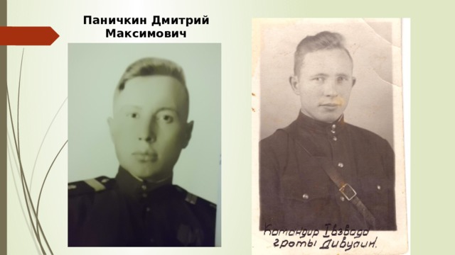 Паничкин Дмитрий Максимович 