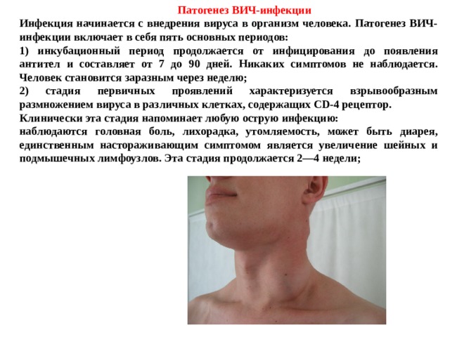  Инфекция начинается с внедрения вируса в организм человека. Патогенез ВИЧ-инфекции включает в себя пять основных периодов: 1) инкубационный период продолжается от инфицирования до появления антител и составляет от 7 до 90 дней. Никаких симптомов не наблюдается. Человек становится заразным через неделю; 2) стадия первичных проявлений характеризуется взрывообразным размножением вируса в различных клетках, содержащих СD-4 рецептор. Клинически эта стадия напоминает любую острую инфекцию: наблюдаются головная боль, лихорадка, утомляемость, может быть диарея, единственным настораживающим симптомом является увеличение шейных и подмышечных лимфоузлов. Эта стадия продолжается 2—4 недели; Патогенез ВИЧ-инфекции 