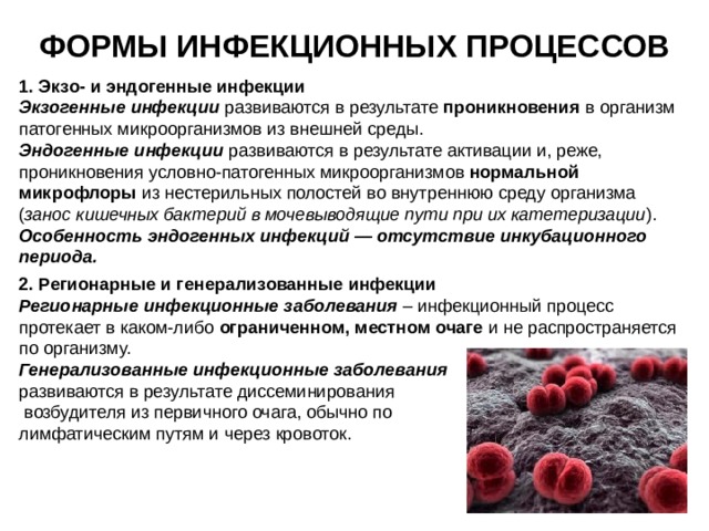 ФОРМЫ ИНФЕКЦИОННЫХ ПРОЦЕССОВ 1. Экзо- и эндогенные инфекции Экзогенные инфекции развиваются в результате проникновения в организм патогенных микроорганизмов из внешней среды. Эндогенные инфекции развиваются в результате активации и, реже, проникновения условно-патогенных микроорганизмов нормальной микрофлоры из нестерильных полостей во внутреннюю среду организма ( занос кишечных бактерий в мочевыводящие пути при их катетеризации ). Особенность эндогенных инфекций — отсутствие инкубационного периода. 2. Регионарные и генерализованные инфекции Регионарные инфекционные заболевания – инфекционный процесс протекает в каком-либо ограниченном, местном очаге и не распространяется по организму. Генерализованные инфекционные заболевания  развиваются в результате диссеминирования  возбудителя из первичного очага, обычно по лимфатическим путям и через кровоток. 