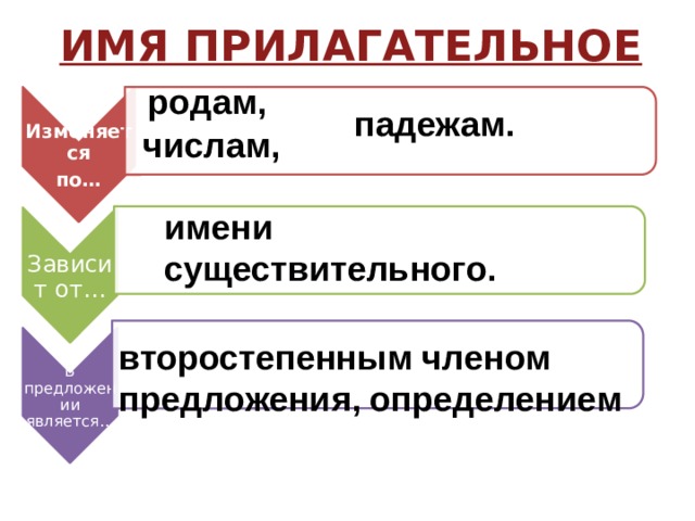 ИМЯ ПРИЛАГАТЕЛЬНОЕ Изменяется по… Зависит от… В предложении является… родам, падежам. числам, имени существительного. второстепенным членом предложения, определением 