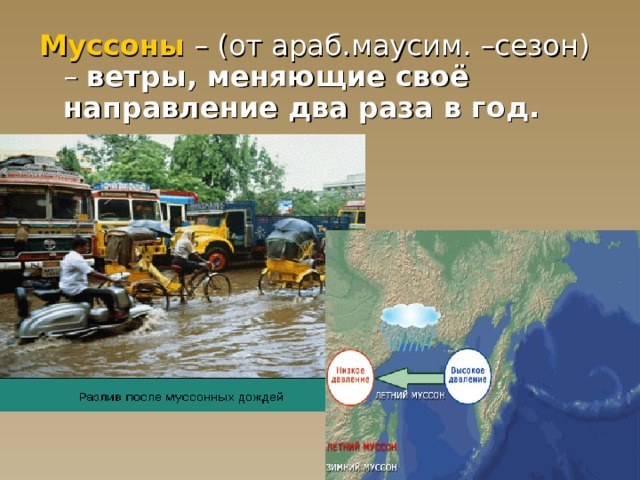 график, на котором показаны направления ветров, господствующих в данной местности. 