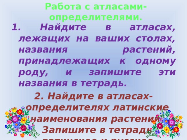 Работа с атласами-определителями. 1. Найдите в атласах, лежащих на ваших столах, названия растений, принадлежащих к одному роду, и запишите эти названия в тетрадь. 2. Найдите в атласах-определителях латинские наименования растений. Запишите в тетрадь латинское и русское названия одного-двух растений.  