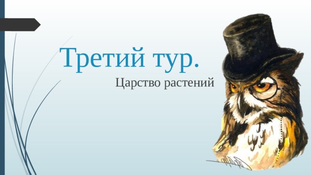 Третий тур. Царство растений 