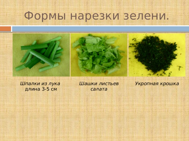Формы нарезки зелени. Шпалки из лука  длина 3-5 см Шашки листьев салата Укропная крошка 