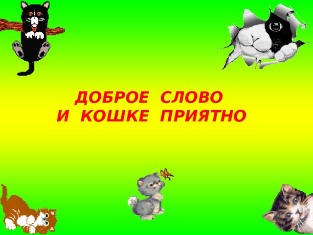 ДОБРОЕ СЛОВО  И КОШКЕ ПРИЯТНО 