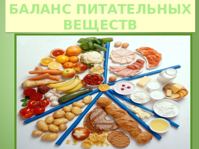 Баланс питательных веществ образец 