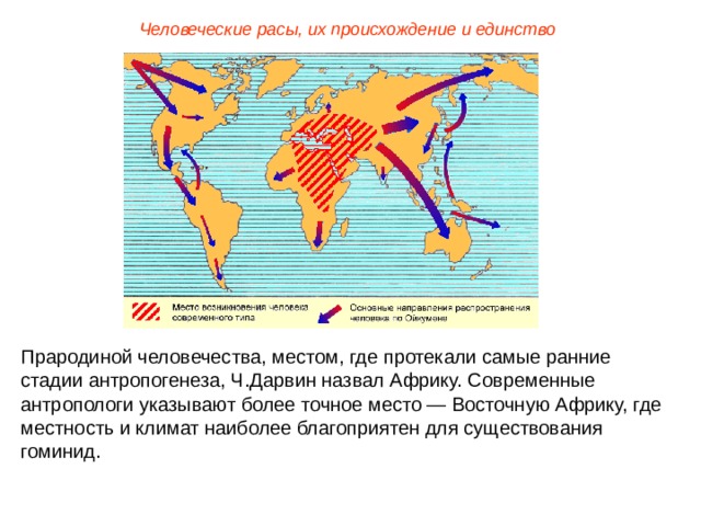 Человеческие расы, их происхождение и единство Прародиной человечества, местом, где протекали самые ранние стадии антропогенеза, Ч.Дарвин назвал Африку. Современные антропологи указывают более точное место — Восточную Африку, где местность и климат наиболее благоприятен для существования гоминид.  
