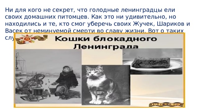 Ни для кого не секрет, что голодные ленинградцы ели своих домашних питомцев. Как это ни удивительно, но находились и те, кто смог уберечь своих Жучек, Шариков и Васек от неминуемой смерти во славу жизни. Вот о таких случаях и будут эти рассказы… 