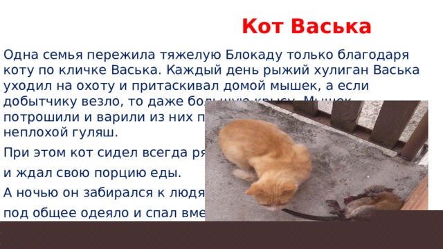  Кот Васька Одна семья пережила тяжелую Блокаду только благодаря коту по кличке Васька. Каждый день рыжий хулиган Васька уходил на охоту и притаскивал домой мышек, а если добытчику везло, то даже большую крысу. Мышек потрошили и варили из них похлебку. А из крыс получался неплохой гуляш. При этом кот сидел всегда рядом и ждал свою порцию еды. А ночью он забирался к людям под общее одеяло и спал вместе с ними. 