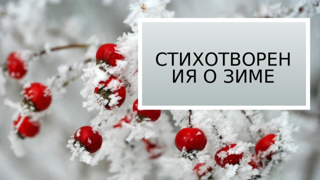 Стихотворения о зиме 