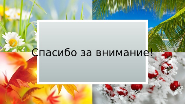 Спасибо за внимание! 