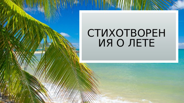 Стихотворения о лете 