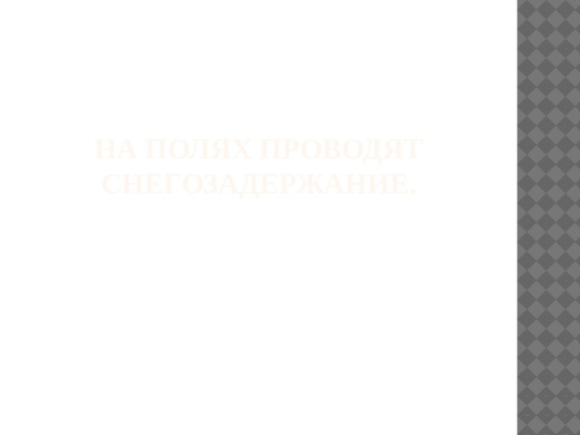 На полях проводят снегозадержание. 