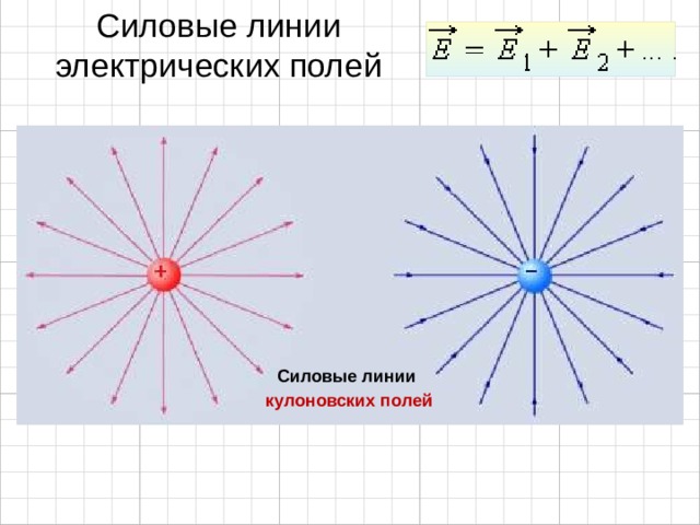  Силовые линии электрических полей Силовые линии кулоновских полей 