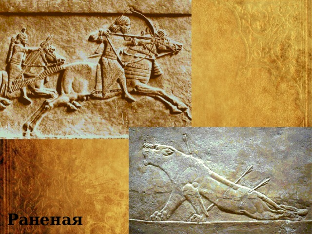 Раненая львица 