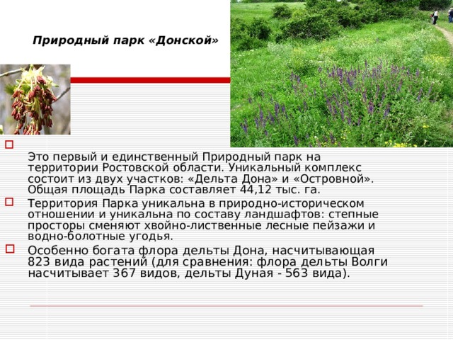 Природный парк «Донской»  Это первый и единственный Природный парк на территории Ростовской области. Уникальный комплекс  состоит из двух участков: «Дельта Дона» и «Островной». Общая площадь Парка составляет 44,12 тыс. га. Территория Парка уникальна в природно-историческом отношении и уникальна по составу ландшафтов: степные просторы сменяют хвойно-лиственные лесные пейзажи и водно-болотные угодья. Особенно богата флора дельты Дона, насчитывающая 823 вида растений (для сравнения: флора дельты Волги насчитывает 367 видов, дельты Дуная - 563 вида).   