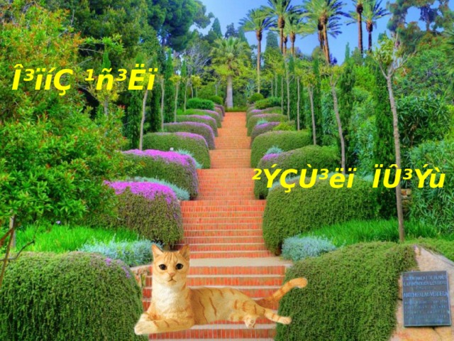 Î³ïíÇ ¹ñ³Ëï ²ÝÇÙ³ëï ÏÛ³Ýù 