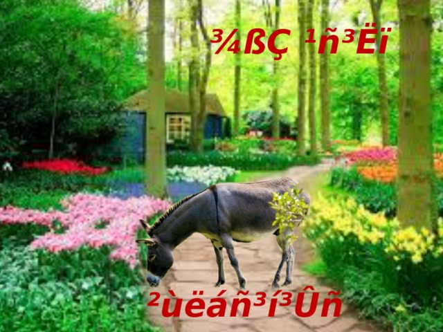 ¾ßÇ ¹ñ³Ëï ²ùëáñ³í³Ûñ 