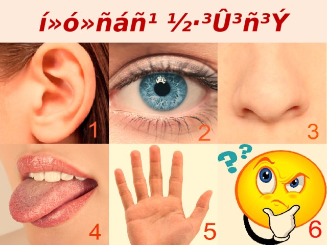 í»ó»ñáñ¹ ½·³Û³ñ³Ý 